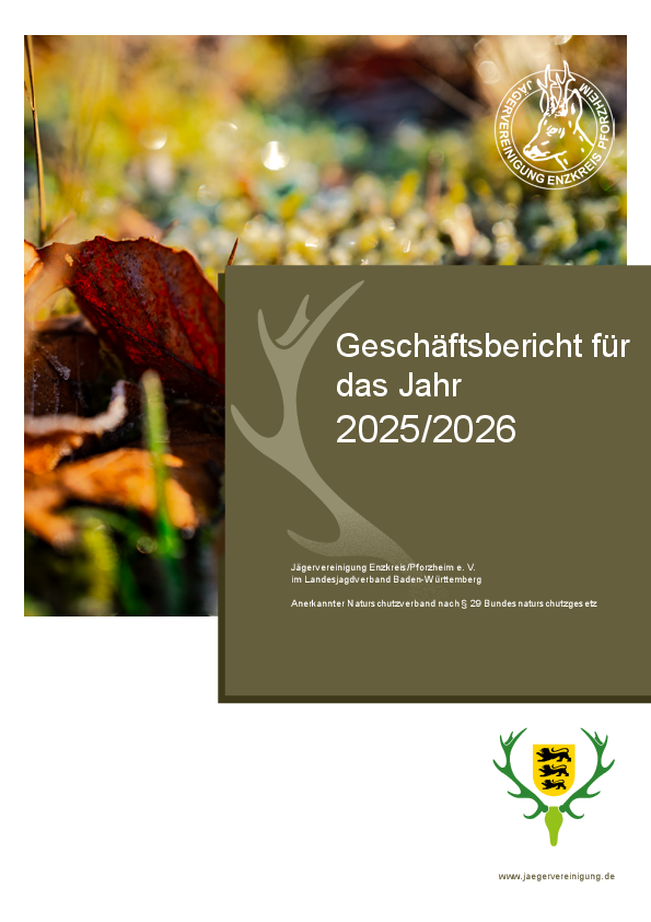 pdf-preview