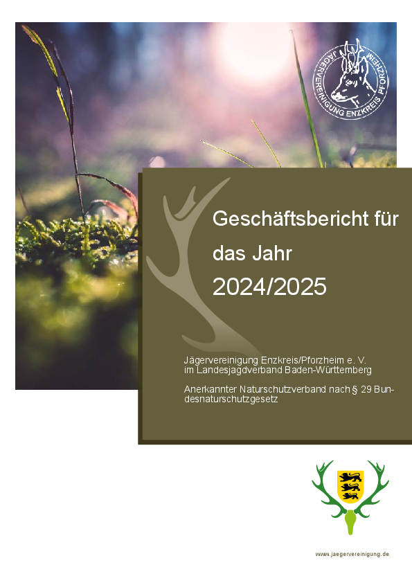 pdf-preview