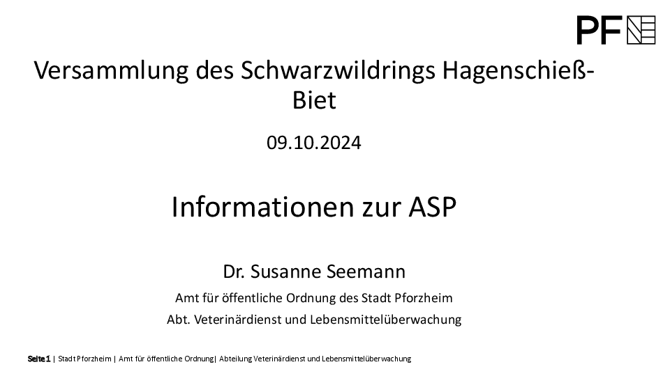 pdf-preview